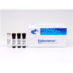 Elabscience 一步法TUNEL流式凋亡检测试剂盒（绿色，Elab Fluor? 488）-E-CK-A421,One-step TUNEL Flow Cytometry Apoptosis Kit (Green, Elab Fluor 488)