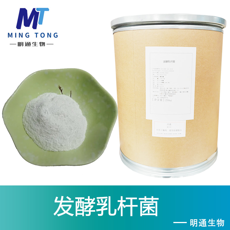 發(fā)酵乳桿菌,Lactobacillus fermentum