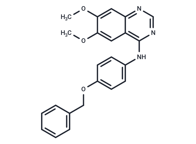 化合物 EGFR/ErbB2 Inhibitor,EGFR/ErbB-2/ErbB-4 inhibitor-2