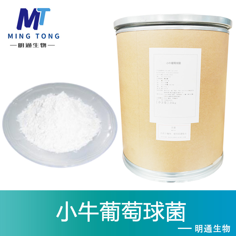 小牛葡萄球菌,Staphylococcus vitulinus