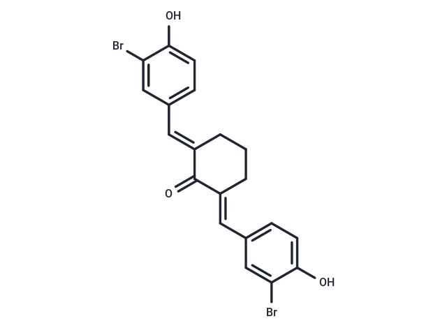 組蛋白乙酰轉(zhuǎn)移酶 抑制劑II,Histone Acetyltransferase Inhibitor II