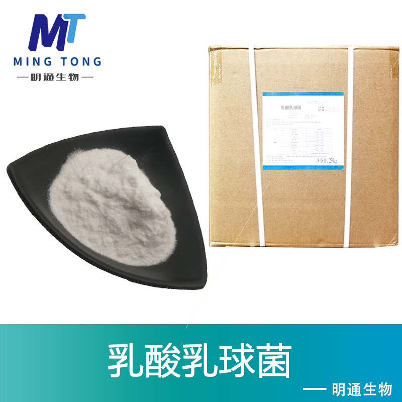乳酸乳球菌,Lactococcus lactis