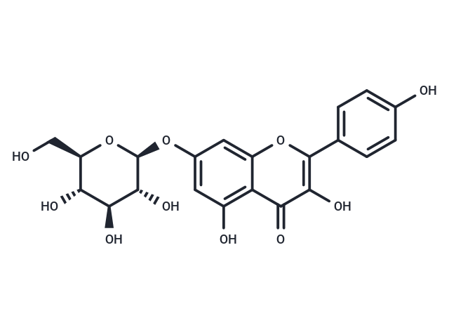 山奈酚-7-O-葡萄糖苷,Kaempferol-7-O-β-D-glucopyranoside