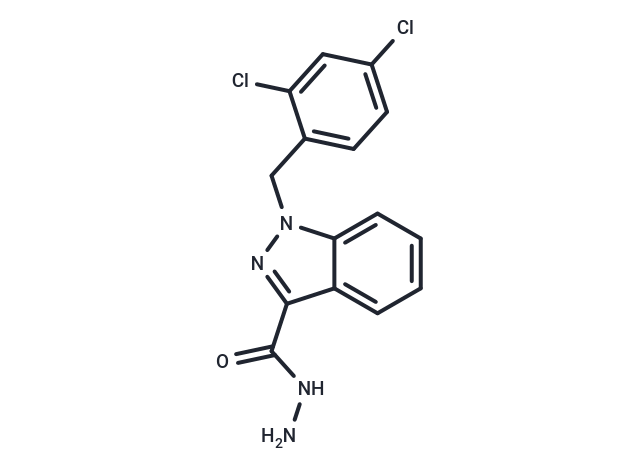 化合物 Adjudin,Adjudin
