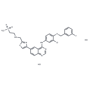 化合物 GW 583340 dihydrochloride|T22827|TargetMol
