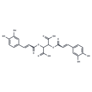 L-菊苣酸,L-Chicoric Acid