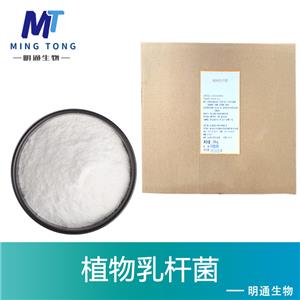 植物乳杆菌,Lactobacillus plantarum