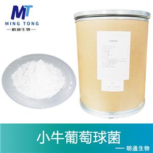 小牛葡萄球菌,Staphylococcus vitulinus