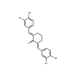 組蛋白乙酰轉(zhuǎn)移酶 抑制劑II,Histone Acetyltransferase Inhibitor II