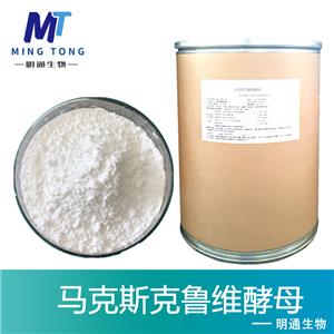 马克斯克鲁维酵母