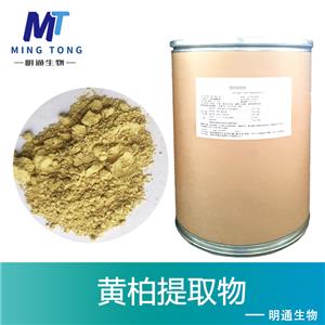 黄柏提取物