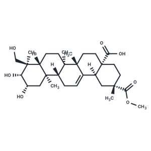 商陆皂苷元,Phytolaccagenin
