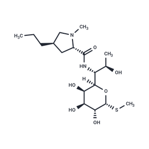 化合物 Lincomycin,Lincomycin