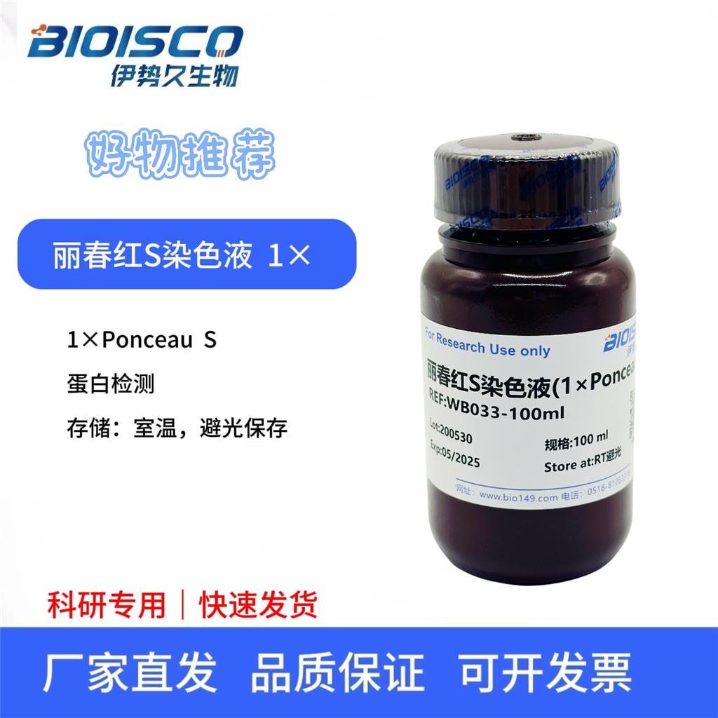 麗春紅S染色液（1× Ponceau S),Ponceau S staining solution (1× Ponceau S)