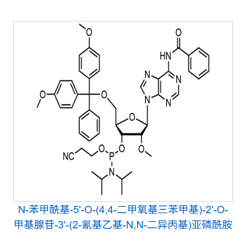 N-苯甲酰基-5'-O-(4,4-二甲氧基三苯甲基)-2'-O-甲基腺苷-3'-(2-氰基乙基-N,N-二异丙基)亚磷酰胺,2’-O-Methyl-rA(N-Bz)phosphoramidite