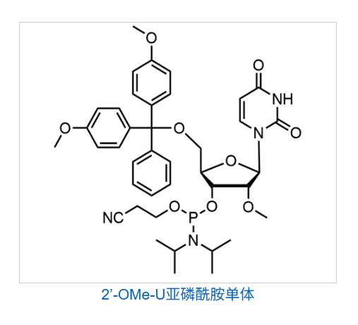 2’-OMe-U亚磷酰胺单体,DMT-2'O-Methyl-rU Phosphoramidite