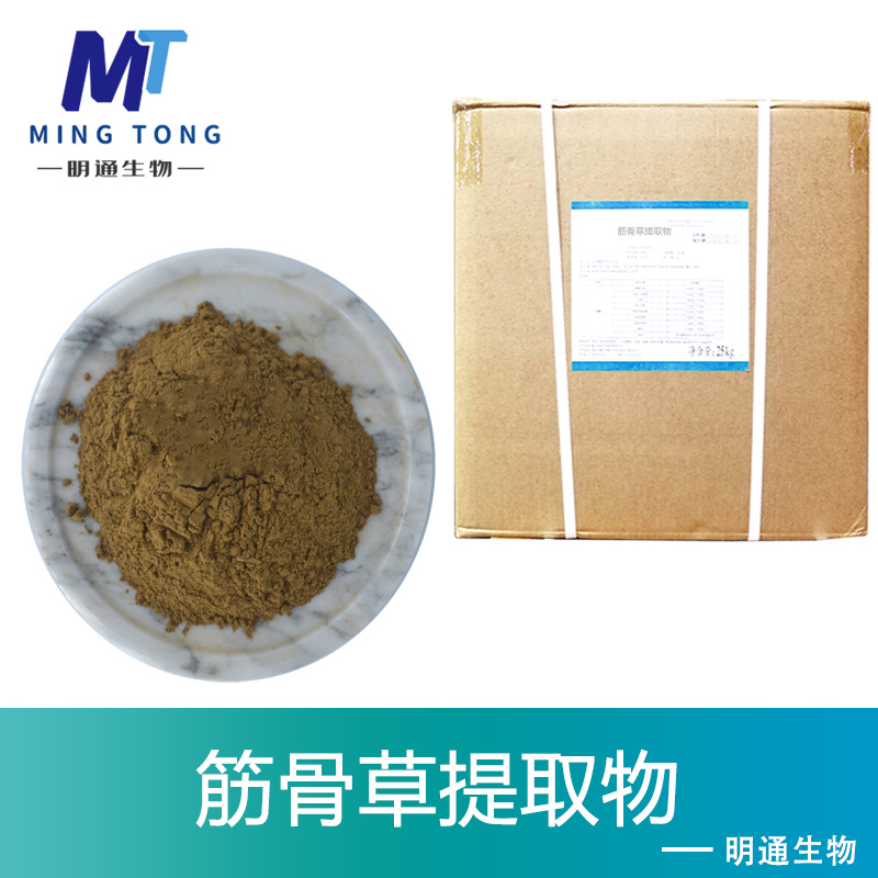 筋骨草提取物,Ajuga extract