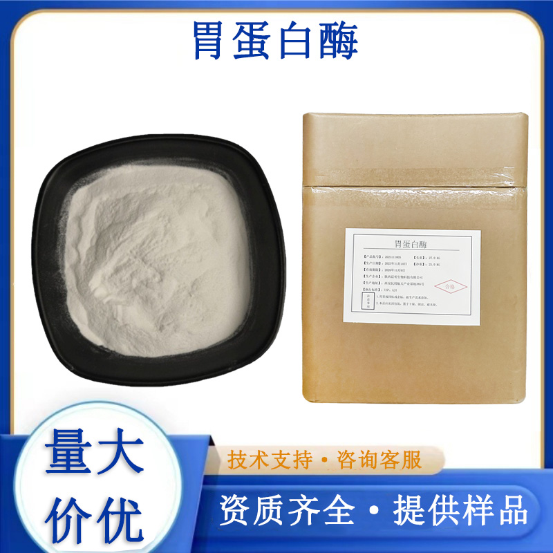 胃蛋白酶,Pepsin