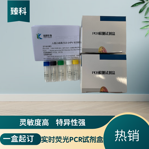 鸡毒支原体(MG)核酸检测试剂盒