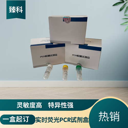 甲型流感病毒N6亚型(IAV-N6)核酸试剂盒(荧光-PCR法)