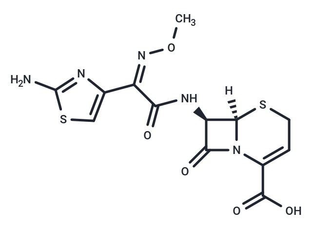 頭孢唑肟,Ceftizoxime