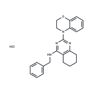 化合物 ML241 hydrochloride,ML241 hydrochloride