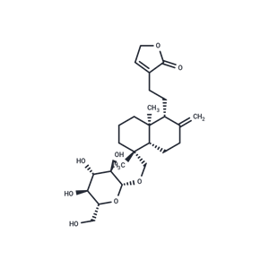 新穿心莲内酯|T3884