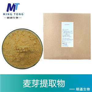 麦芽提取物
