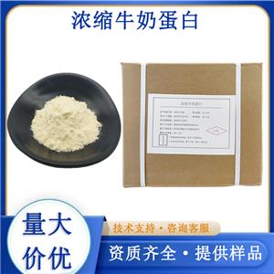 浓缩牛奶蛋白厂家