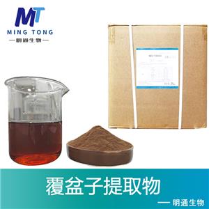 覆盆子提取物