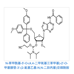 N-苯甲酰基-5'-O-(4,4-二甲氧基三苯甲基)-2'-O-甲基腺苷-3'-(2-氰基乙基-N,N-二异丙基)亚磷酰胺