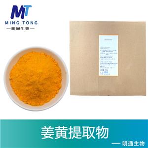 姜黄提取物,Turmeric P.E