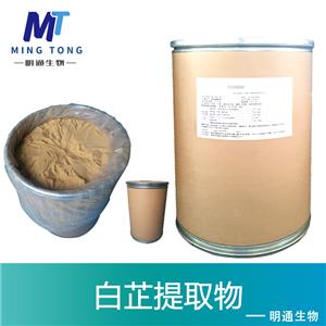 白芷提取物,Angelica Root P.E