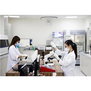 锯叶棕提取物,Saw Palmetto extract