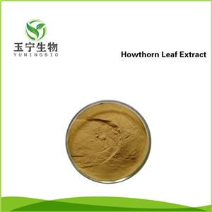 山楂葉提取物,Howthorn Leaf Extract