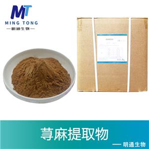 荨麻提取物