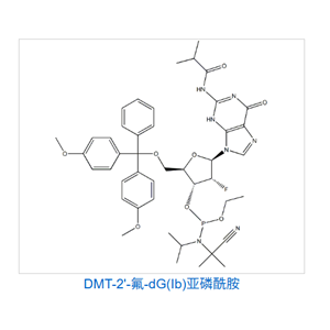 DMT-2'-氟-dG(Ib)亚磷酰胺