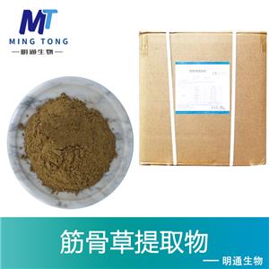 筋骨草提取物,Ajuga extract