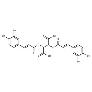 菊苣酸,Cichoric Acid