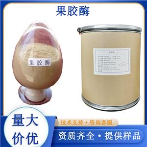 果胶酶厂家