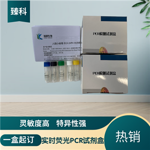鸡毒支原体(MG)核酸检测试剂盒