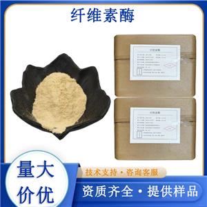 纤维素酶厂家