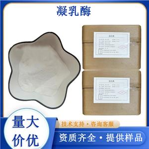 凝乳酶厂家