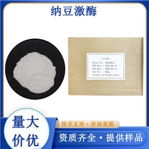 纳豆激酶,Nattokinase