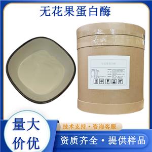 无花果蛋白酶厂家