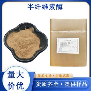 半纤维素酶厂家