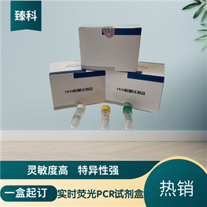 禽流感病毒H9亚型(AIV-H9)核酸试剂盒(荧光-PCR法)