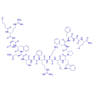 抑制劑多肽Alkyne-P60/Alkyne-P60