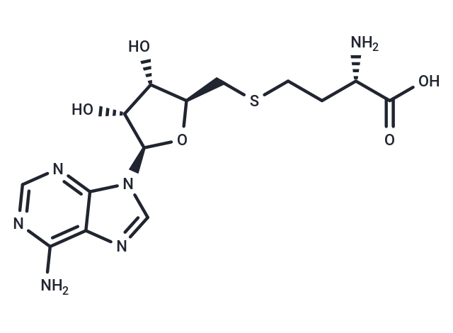 S-(5'-腺苷)-L-高半胱氨酸,SAH