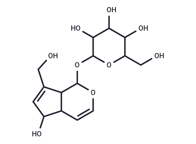 桃葉珊瑚苷,Aucubin